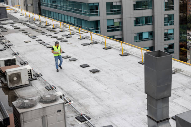 Best Roof Replacement  in Painesville, OH