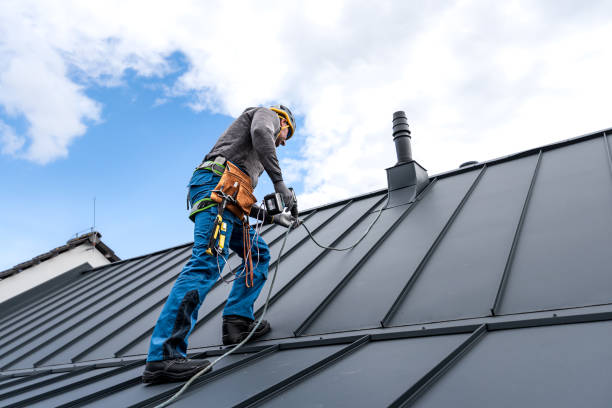 Best Commercial Roofing Services  in Painesville, OH