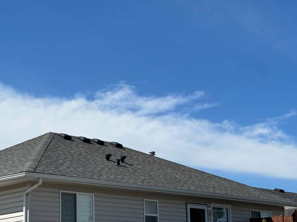 Best Asphalt Shingle Roofing  in Painesville, OH